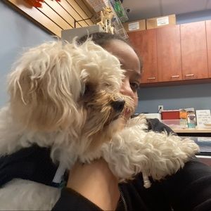 Meet your Posher, Katt